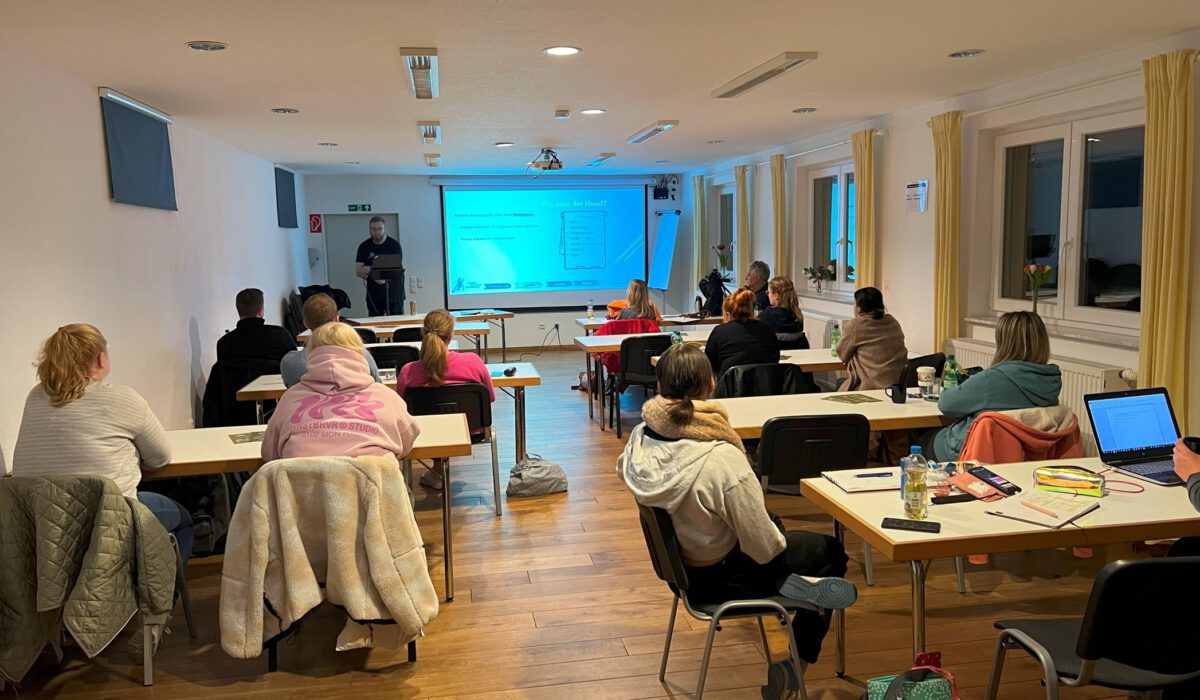 Bild10