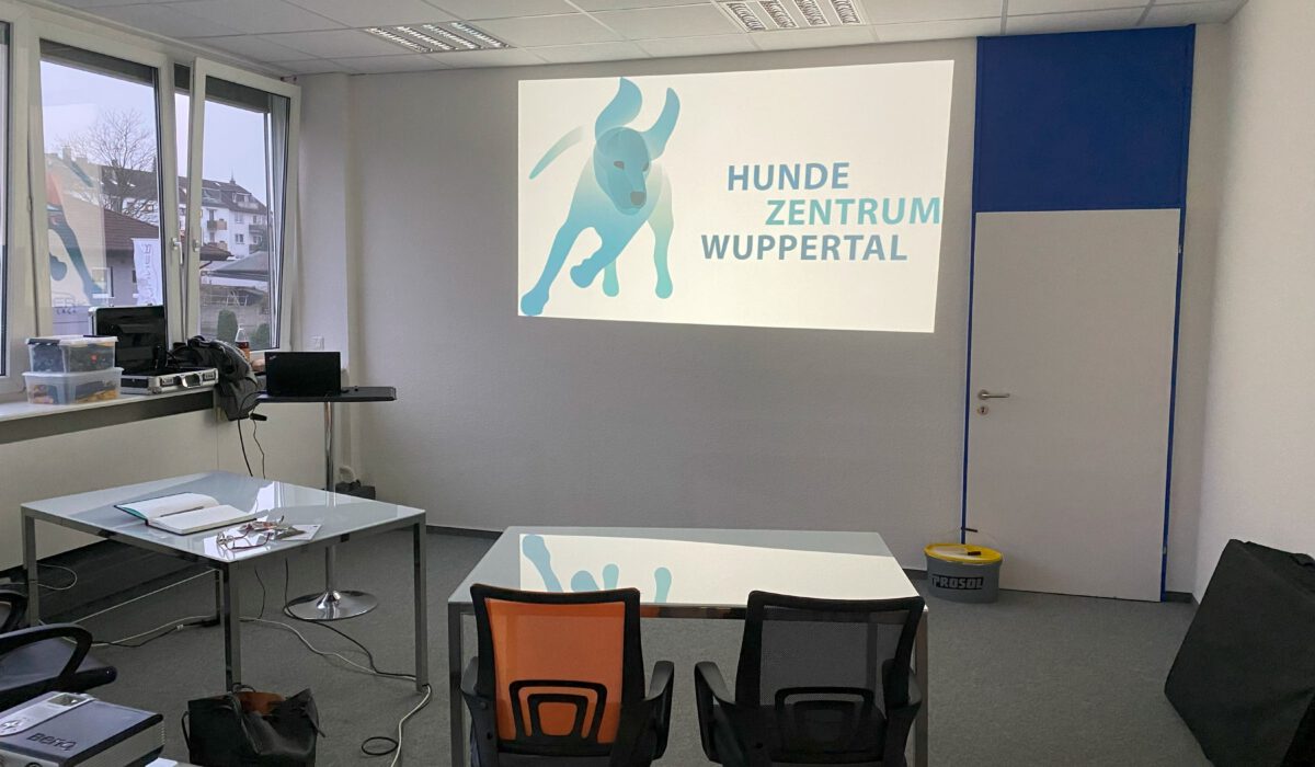 Bild7